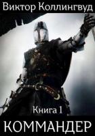 Книга Коммандер (СИ)