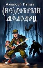Книга (Не)добрый молодец (СИ)