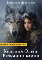 Книга Ведьмины камни (СИ)