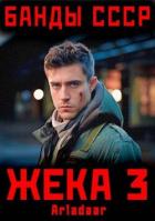 Книга Жека 3 (СИ)