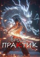 Книга Вроде практик (СИ)
