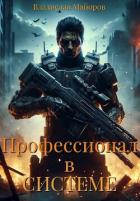 Книга Профессионал в системе. Книга 1 (СИ)