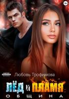 Книга Община. Лёд и пламя