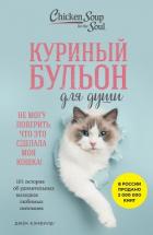 Книга Куриный бульон для души. Не могу поверить, что это сделала моя кошка! 101 история об удивительных вы