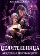 Книга Академия мертвых душ. Целительница
