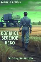 Книга Перерождение легенды (СИ)