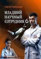 Книга Младший научный сотрудник 6 (СИ)