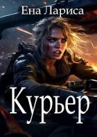 Книга Курьер (СИ)