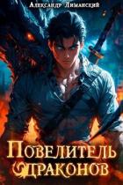 Книга Повелитель драконов I (СИ)