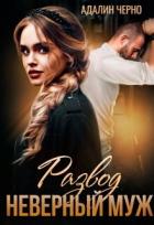 Книга Развод. Неверный муж (СИ)