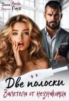 Книга Две полоски. Залетела от незнакомца (СИ)