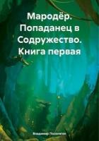 Книга Попаданец в Содружество (СИ)