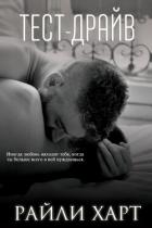 Книга Тест-драйв (ЛП)
