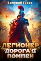 Книга Легионер. Дорога в Помпеи – 1