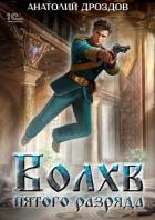 Книга Волхв пятого разряда