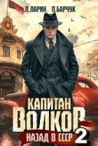 Книга Капитан Волков. Назад в СССР – 2