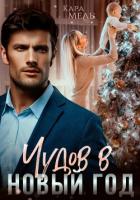 Книга Чудов в Новый год