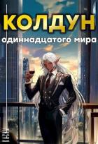 Книга Колдун одиннадцатого мира (СИ)