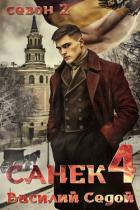 Книга Санек 4 (СИ)