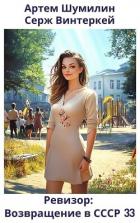 Книга Ревизор: возвращение в СССР 33 (СИ)