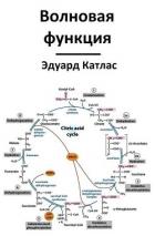 Книга Волновая функция (СИ)
