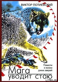 Книга Мага уводит стаю