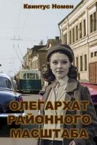 Книга Олегархат районного масштаба (СИ)