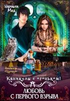 Книга Каникулы с огоньком. Любовь с первого взрыва (СИ)