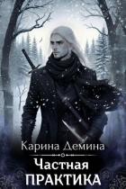 Книга Частная практика