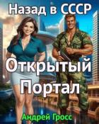 Книга Открытый портал. Назад в СССР (СИ)