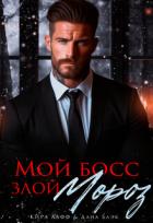 Книга Мой босс - злой Мороз! (СИ)