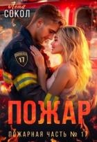 Книга Пожар (СИ)