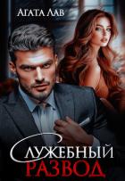 Книга Служебный развод