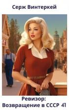 Книга Ревизор: возвращение в СССР 41 (СИ)