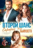 Книга Второй шанс. Сюрприз для бывшего (СИ)