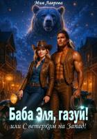 Книга Баба Эля, газуй! или С ветерком на Запад!