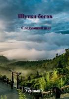 Книга Шутки Богов. Следующий шаг