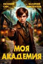 Книга Моя Академия (СИ)