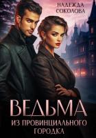 Книга Ведьма из провинциального городка