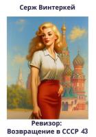 Книга Ревизор: возвращение в СССР 43