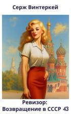 Книга Ревизор: возвращение в СССР 43 (СИ)