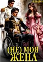 Книга (не) Моя Жена (СИ)