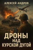 Книга Дроны над Курской дугой (СИ)