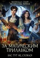 Книга За магическим прилавком. Дилогия (СИ)