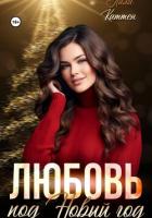 Книга Любовь под Новый год