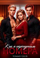 Книга Как я перепутала номера (СИ)