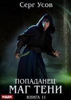 Книга Попаданец. Маг Тени. Книга 11