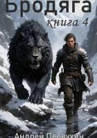 Книга Бродяга. Книга четвёртая