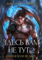 Книга Здесь вам не тут – 2. Один в поле не двое