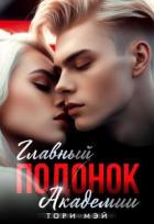 Книга Главный подонок Академии (СИ)